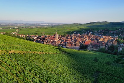 France, Haut-Rhin (68), Route des vins d'Alsace, Riquewihr, labellis