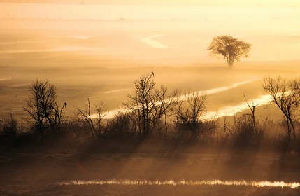France, Charente Maritime, marsh around Brouage