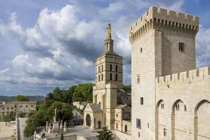 France, Vaucluse (84), Avignon, la cathédrale des Doms et le Palais des Papes classés Patrimoine mondial de l'UNESCO