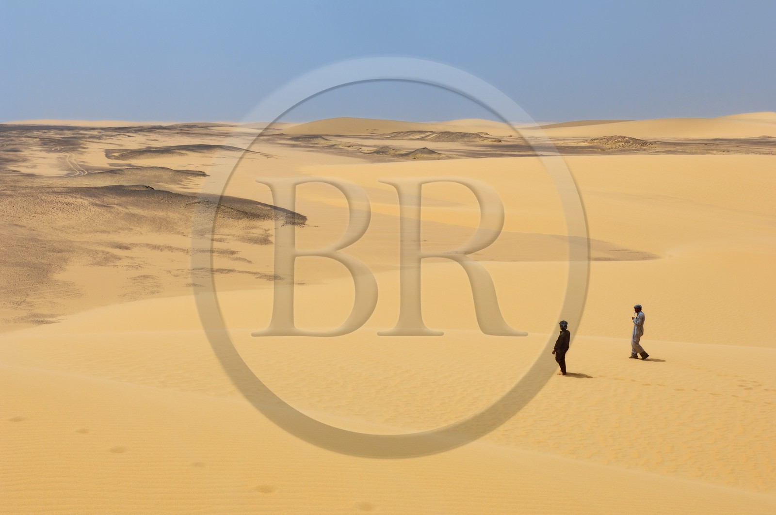 Egypte, Haute-Egypte, désert libyque, paysage désertique vers  Umm el-Dabadib au nord-est de Kharga