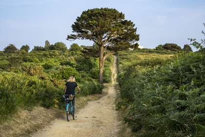 France, Morbihan, Groix Island, path along Grands Sables beach