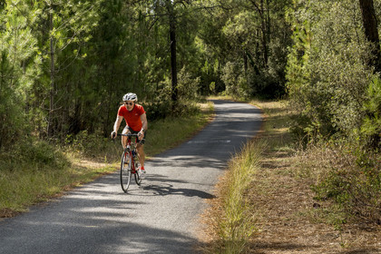 France, Charente-Maritime (17), Royan, Les Mathes, cyclistes sur la Vélodyssée, la piste cyclable EuroVelo1 qui longe l’Atlantique au nord de La Palmyre