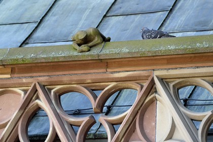 France, Bas Rhin, Strasbourg, old town listed as World Heritage by UNESCO, the Notre Dame Cathedral north facade and the place de la cathedrale, sculpture of the dog on the bone on a balustrade of the north facade of the Notre-Dame cathedral