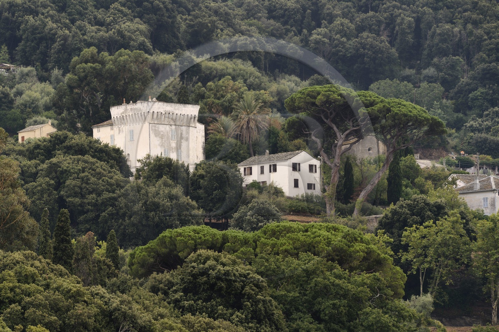 France, Haute-Corse (2B), Cap Corse, Pino, le chateau Piccioni (Palazzi ou Maison d'Americain) dont le batisseur fit fortune à Saint-Thomas (îles Vierges) par François Piccioni et ses héritiers