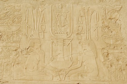 Egypte, Haute Egypte, vallée du Nil, environs de Louxor, nécropole thébaine classée Patrimoine Mondial de l'UNESCO, Thèbes Ouest, Deir el Bahari, temple d'Hatchepsout