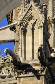 France, Paris (75), Ile de la Cité, cathédrale Notre-Dame de Paris, gargouilles de la façade nord