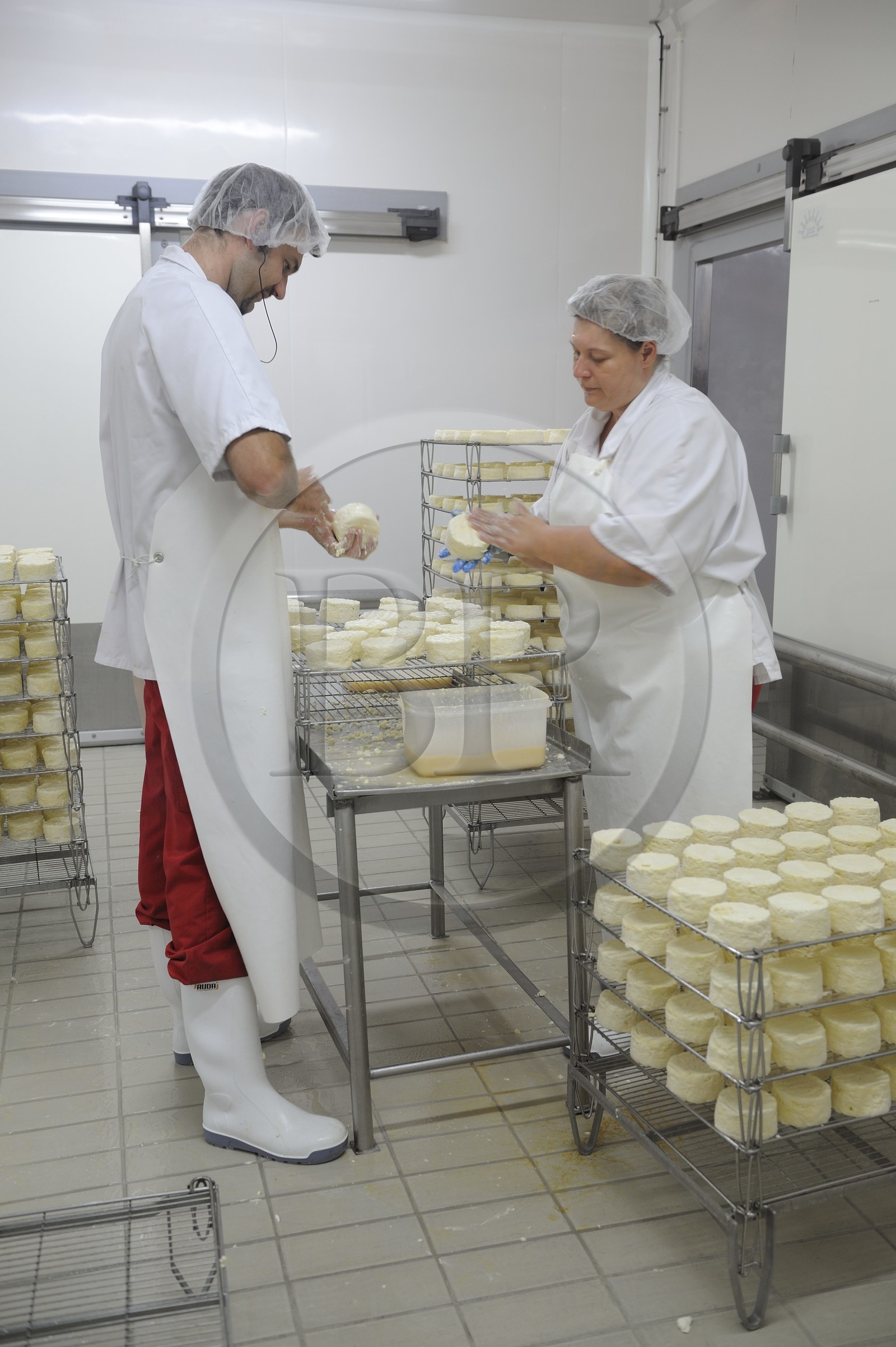 France, Côte d'Or (21), Brochon, entreprise de fromage Gaugry
