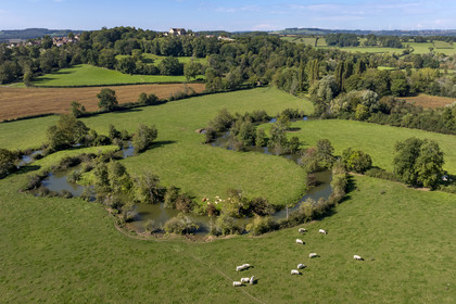 France, Yonne (89), Montréal (Bourgogne), les boucles de la rivière Serein au milieu des pré et la collégiale Notre-Dame en arrière plan (vue aérienne)