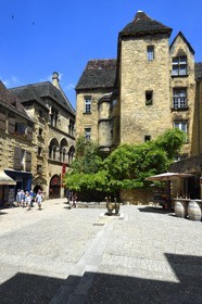 France, Dordogne, Perigord Noir, Dordogne valley, Sarlat la Caneda, Goose Market Place, geese statue by Lalanne, in the background the Hotel de Vassal of the fifteenth century
