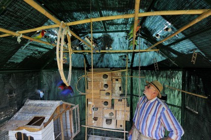 France, Aude, Saint-Martin-le-Vieil, the former Cistercian abbey of Villelongue, the aviary and the owner Mr. Jean Eloffe