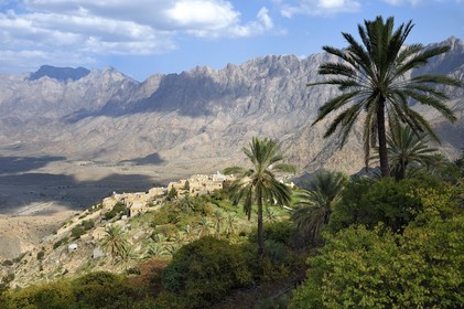 Sultanat d'Oman, Gouvernorat d'Al-Batina du Sud, Hajar occidental, Wadi Mistall, village de Wakan (Wukan) en dessous des cultures en terrasses