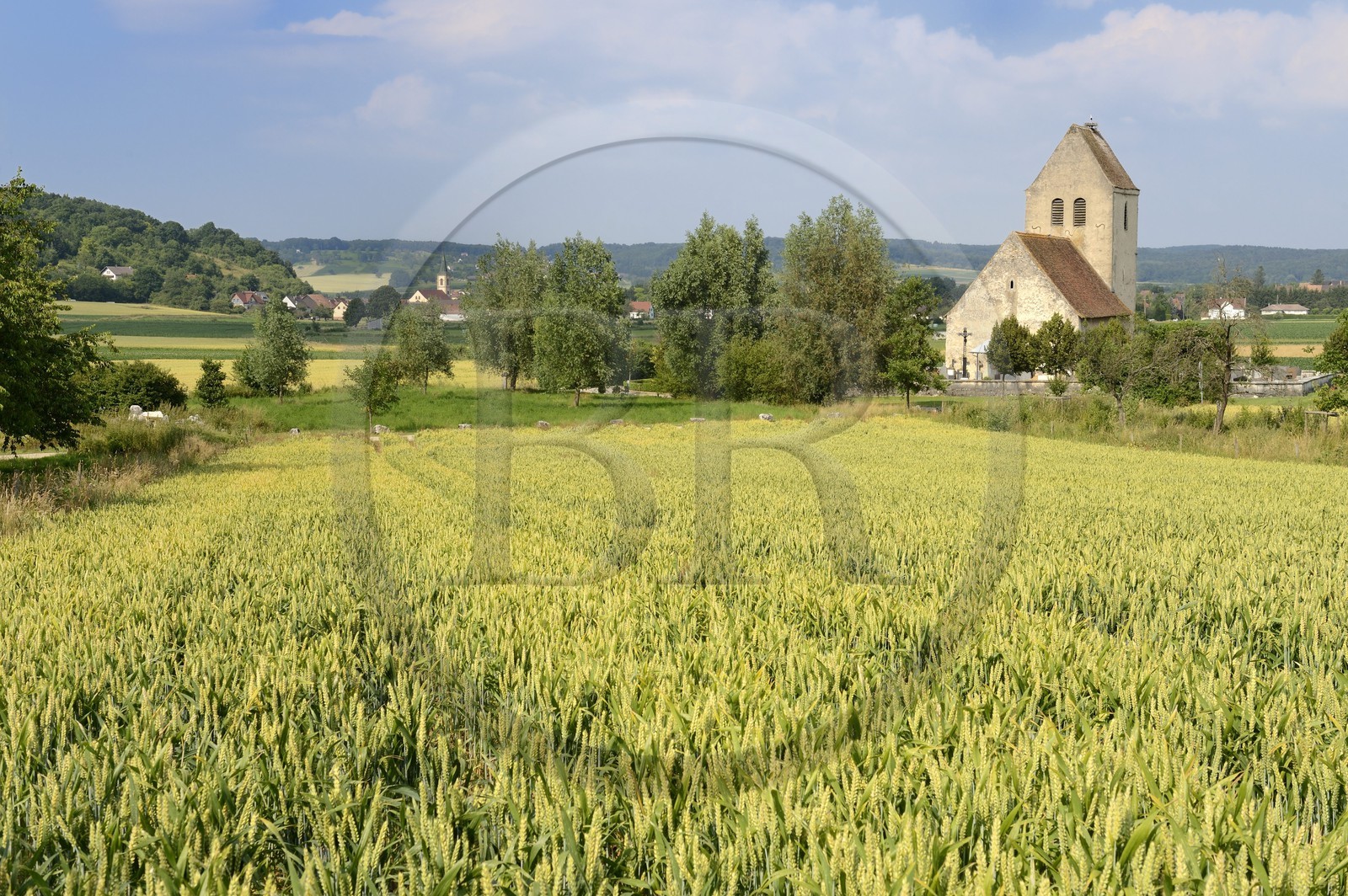 France, Haut-Rhin (68), Sundgau, Oltingue, église Saint-Martin-des-Champs