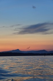 France, Var, Iles d'Hyeres, Parc National de Port Cros (National park of Port Cros), Porquerolles island, the Giens peninsula end Mont Coudon at dusk