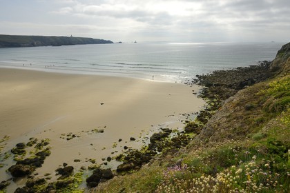 France, Finistere,  Iroise Sea, Plogoff, beach of the Baie des Trepasses and the Pointe du Raz in the background