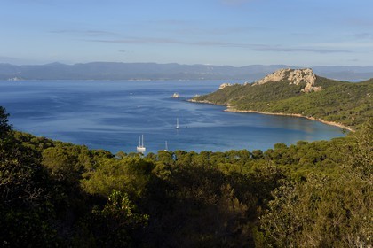 France, Var (83), Iles d'Hyères, parc national de Port Cros, Ile de Porquerolles, plage Notre-Dame et le Cap des Mèdes à droite