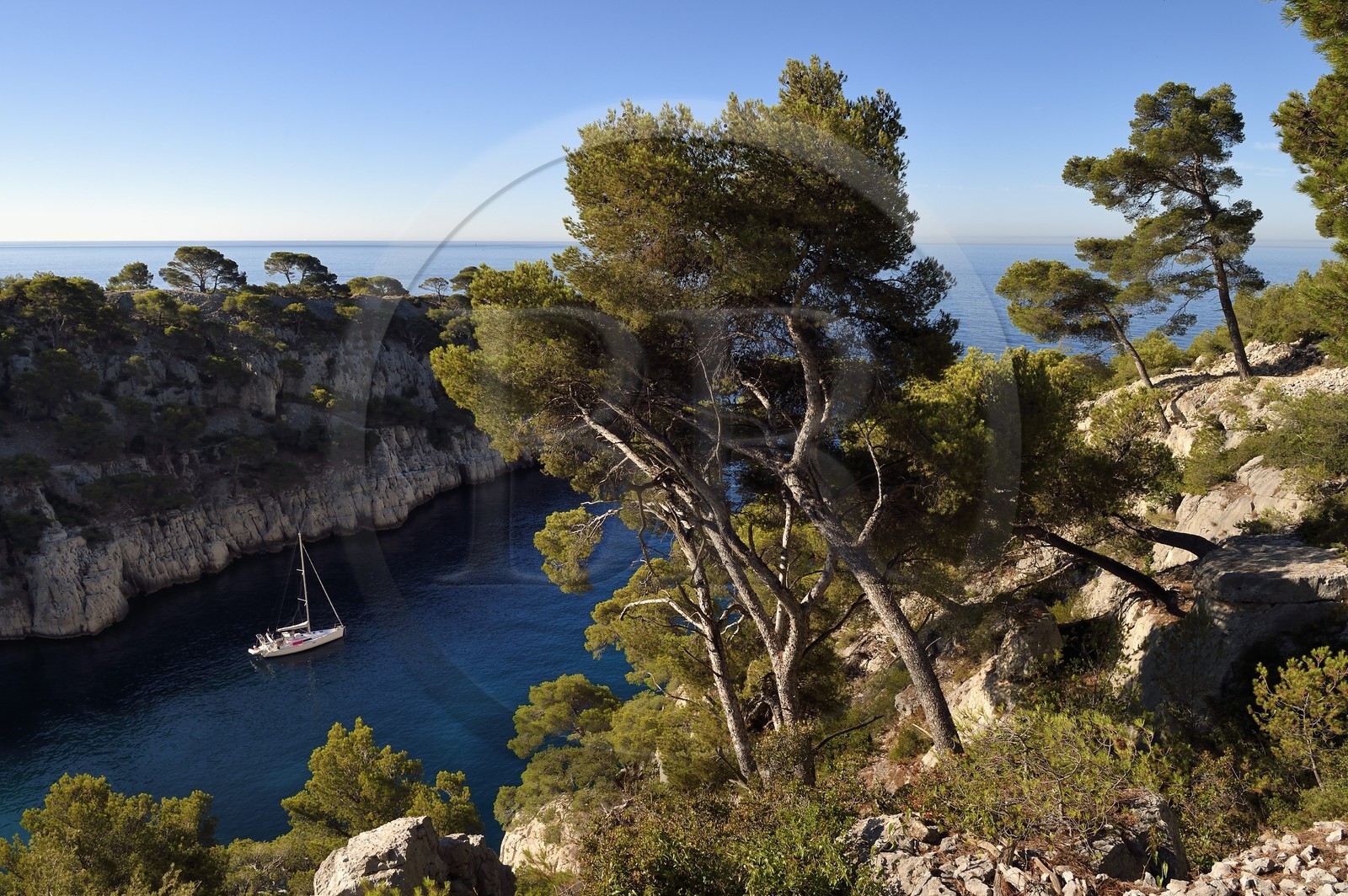 France, Bouches-du-Rhône (13), Marseille, Parc national des Calanques, Calanque de Port-Pin (demande d'autorisation nécessaire avant publication)