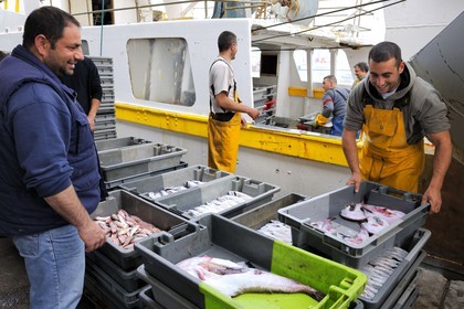 France, Herault, Sete, the fish auction market, fishery disembarkation