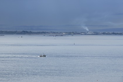 France, Finistere, Morlaix bay seen from the Pointe de Diben, port of Roscoff in the background