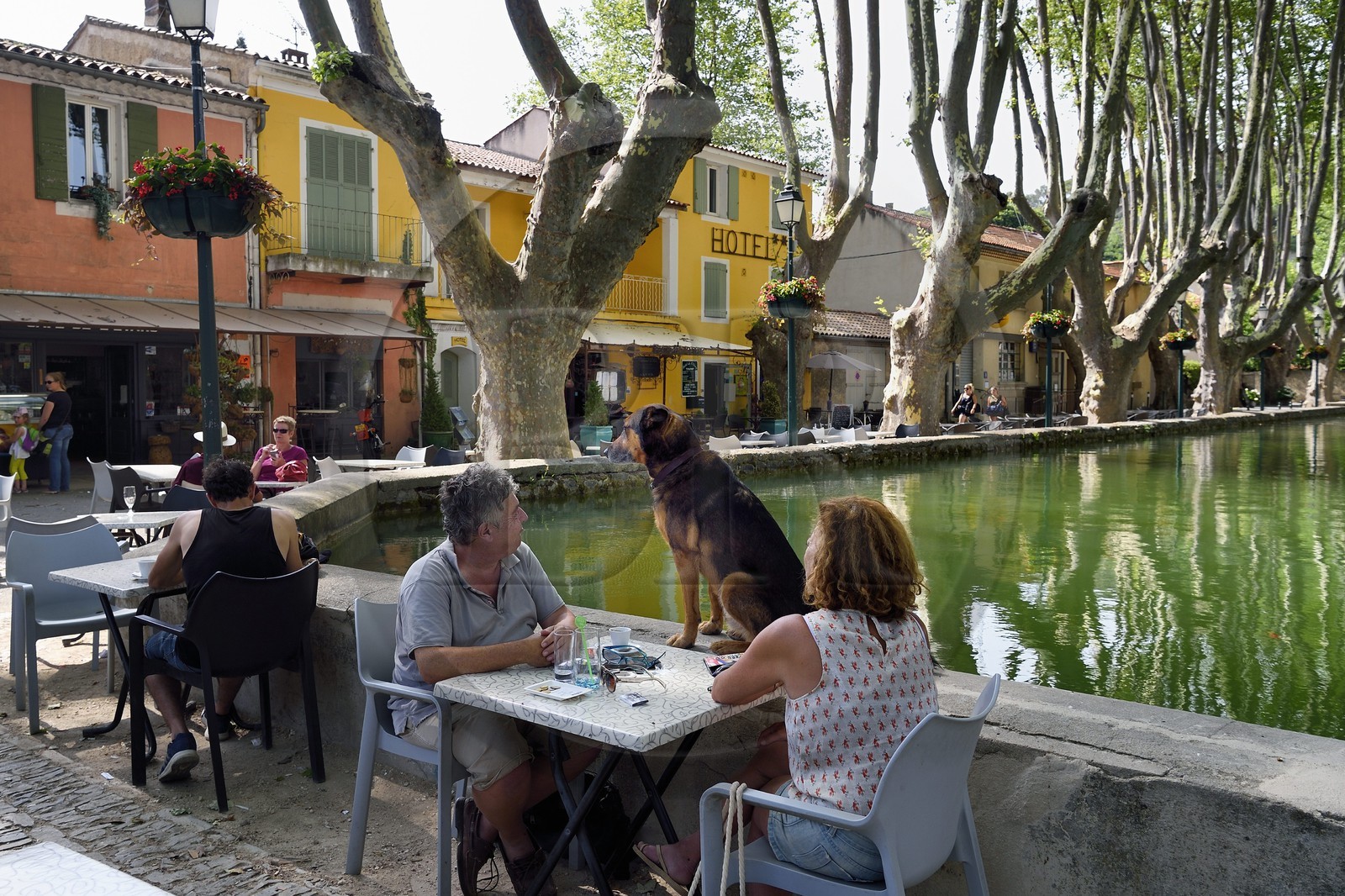 France, Vaucluse, Parc Naturel Regional du Luberon (Natural Regional Park of Luberon), Cucuron, labelled Les Plus Beaux Villages de France (The Most Beautiful Villages of France), the basin of the pond surrounded by centennial plane trees