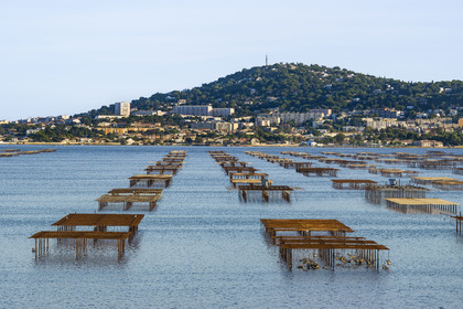 France, Hérault (34), Bouzigues, exploitations ostréicoles des parc à huitres sur l'Etang de Thau, le Mont Saint-Clair et Sète en arrière plan