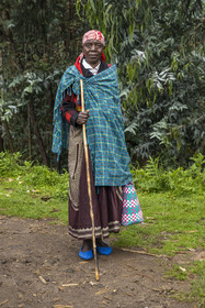 Rwanda, Province du Nord, District de Musanze (Ruhengeri), Busogo, paysanne sur les pentes du mont Karisimbi dans les montagnes des Virunga
