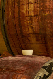 France, Cote d'Or, cultural Landscape of the climates of Burgundy listed as World Heritage by UNESCO, Route des Grands Crus (road of Vintage Wines), vineyard of the Côte de Nuits, Morey Saint Denis, Domaine Amiot et fils, wine barrels