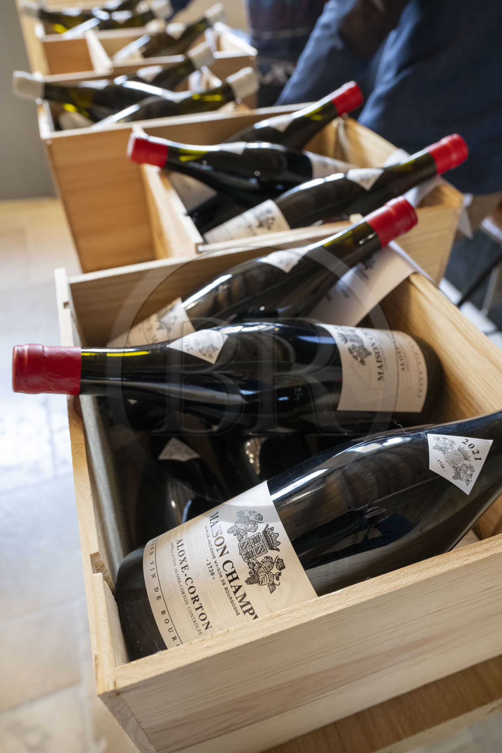 France, Côte-d'Or (21), les climats de Bourgogne classés Patrimoine Mondial de l'UNESCO, Beaune, prestigieux vins de Bourgogne de la Maison Champy, plus ancienne maison de négoce de vins de Bourgogne fondée en 1720