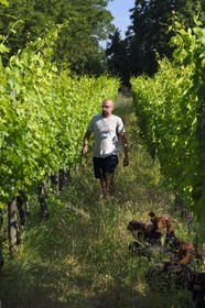 France, Bas Rhin, the Alsace Wine Route, Traenheim, Wine estate MULLER Charles & Fils, organic winemaker Nathan Muller makes chicken implantation tests in the vineyards to allow organic maintenance
