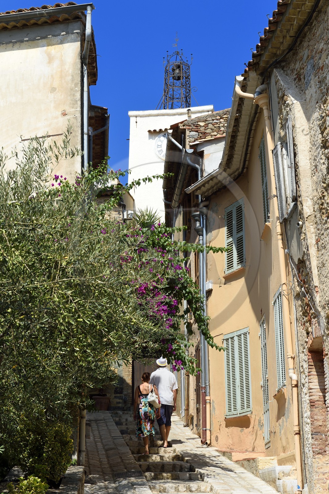 France, Var (83), Grimaud