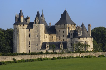 France, Indre et Loire, Loire Valley listed as World Heritage by UNESCO, Seuilly, Chateau de Coudray Montpensier