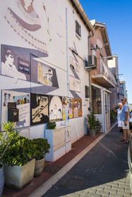 France, Herault, Sete, Sète, la Pointe Courte district, fishing district on the banks of the Etang de Thau, mural tribute to Agnès Varda by American artist Barbara Carrasco