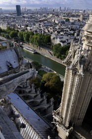 France, Paris (75), les rives de la Seine classées Patrimoine Mondial de l'UNESCO, île de la Cité, la cathédrale Notre-Dame
