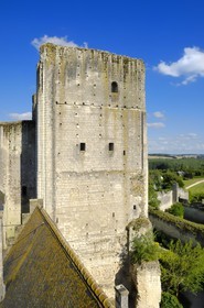 France, Indre et Loire, Loches, the donjon from the feudal fortress