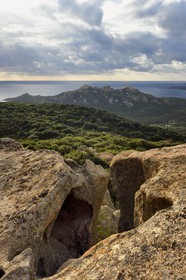 France, Corse-du-Sud (2A), le site naturel de Cala de Roccapina, la tour génoise et le rocher du Lion