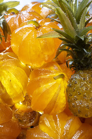 France, Bouches-du-Rhône (13), Parc Naturel Régional des Alpilles, Saint-Rémy-de-Provence, Maison Lilamand, confiserie traditionnelle de fruits confits et calissons, réalisation avec melon cantaloup et ananas Victoria