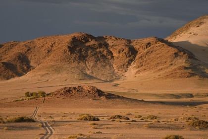 Namibie, région de Hardap, désert du Namib à l'Est du parc national Namib Naukluft vers Sossusvlei