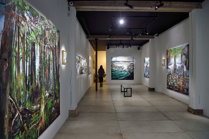 France, Paris (75), exposition Germination de l'artiste Fred Kleinberg à la galerie Loo & Lou Haut-Marais