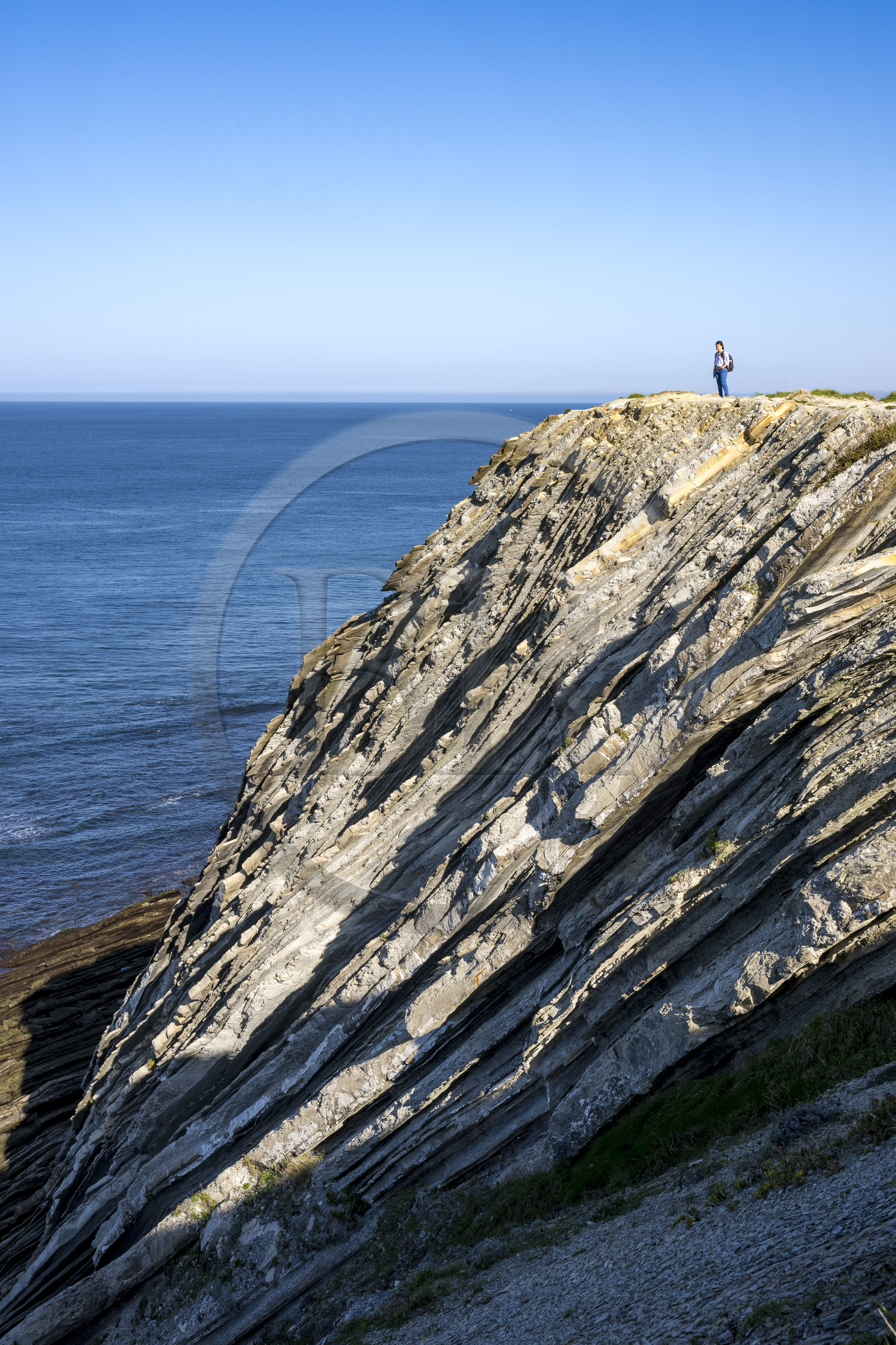 France, Pyrénées-Atlantiques (64), Pays-Basque, la Corniche Basque, Urrugne, la côte Atlantique vers Socoa, falaises de flysch