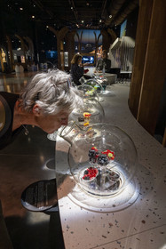 France, Cote d'Or, Climats terroirs of Burgundy listed as World Heritage by UNESCO, Beaune, the Cité des vins et climats de Bourgogne, sensory experiences