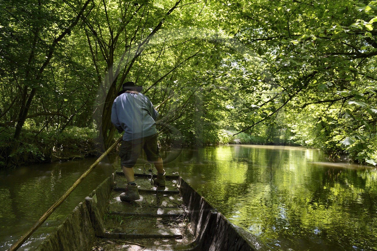 France, Bas-Rhin (67), région d'Ebersmunster et Muttersholtz, le Grand Ried, le batelier Patrick Unterstock dans une barque à fond plat en bois sur la rivière l'Ill