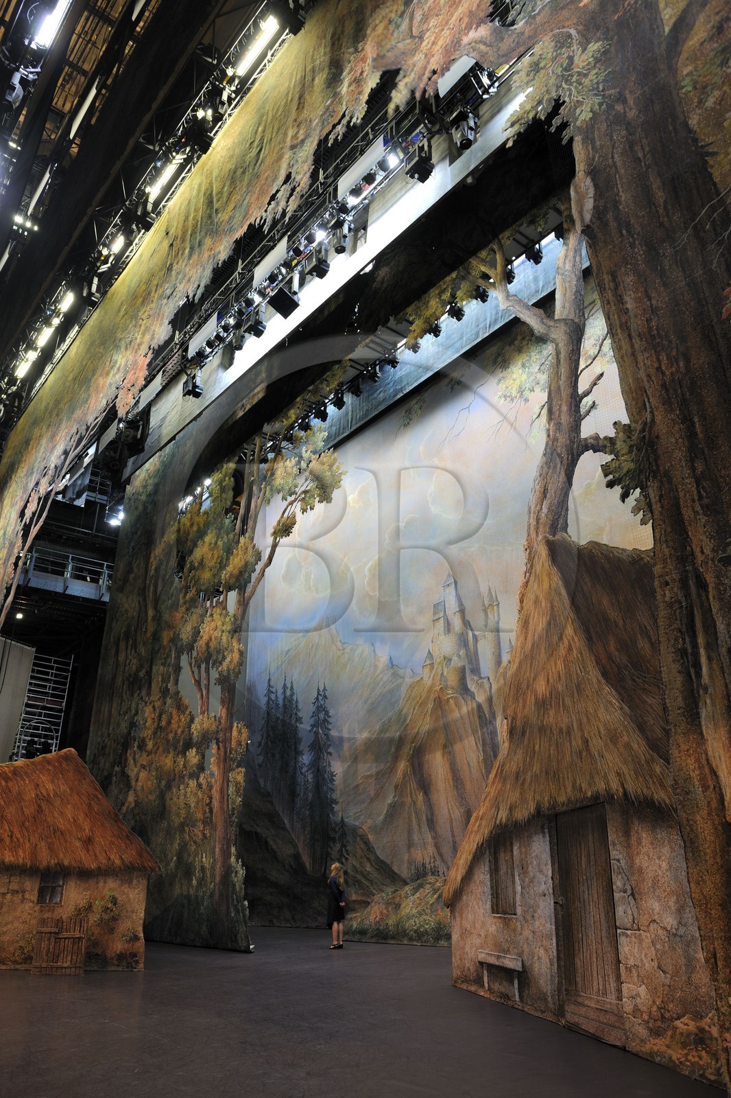 France, Paris (75), l'Opéra Garnier, la scène et les cintres