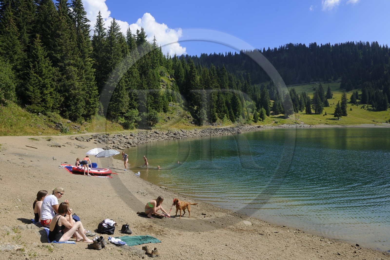 Suisse, canton de Vaud, Villars-sur-Ollon, lac des Chavonnes