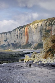 France, Seine-Maritime (76), Côte d'Albâtre, Yport, un pêcheur marchant sur la plage à marée basse au pied des falaises