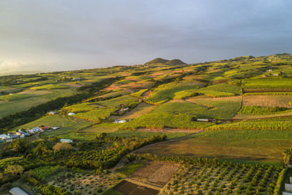 France, Reunion island (French overseas department), Petite-Ile, sugar cane fields on the slopes of the Piton de la Fournaise volcano and piton de Mont Vert in the background (aerial view)