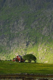 Norvège, Nordland, Iles Lofoten, Ile de Flakstad, petite ferme