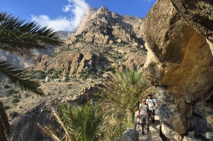 Sultanat d'Oman, Gouvernorat d'Al-Batina du Sud, Hajar occidental, Wadi Mistall, village de Wakan (Wukan), randonneurs omanais sur le sentier de randonnée comprenant 700 marches qui monte à travers les jardins en terrasses et le long de canaux d'irrigation, le sommet du Qarn Wukan (2501m) en arrière plan
