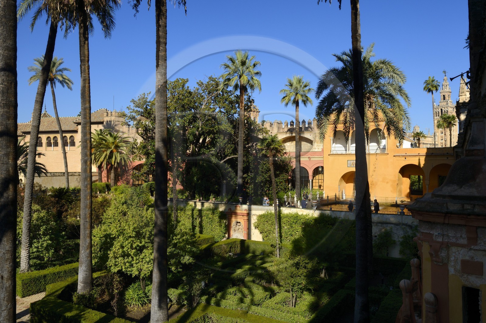 Espagne, Andalousie, Séville, Alcazar de Séville (Reales Alcazares de Sevilla), classé Patrimoine Mondial de l'UNESCO, les jardins et le Palacio Gotico