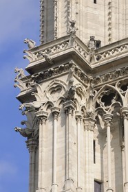 France, Paris (75), Ile de la Cité, cathédrale Notre-Dame de Paris, gargouilles de la tour sud