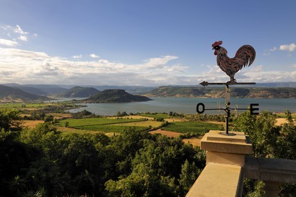 France, Herault, Salagou Lake, weathercock overlooking fields and vineyard