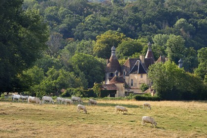 France, Allier (03), ancienne province du Bourbonnais, Besson, chateau du Vieux Bostz appartenant aux descendants des Bourbon-Parme